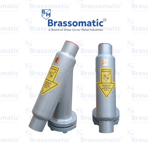 Y Type Strainers